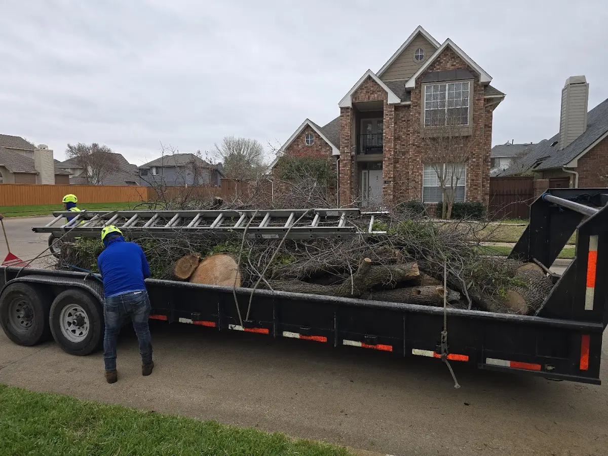 Expert Tree Fertilization with proper safety equipment in Buffalo